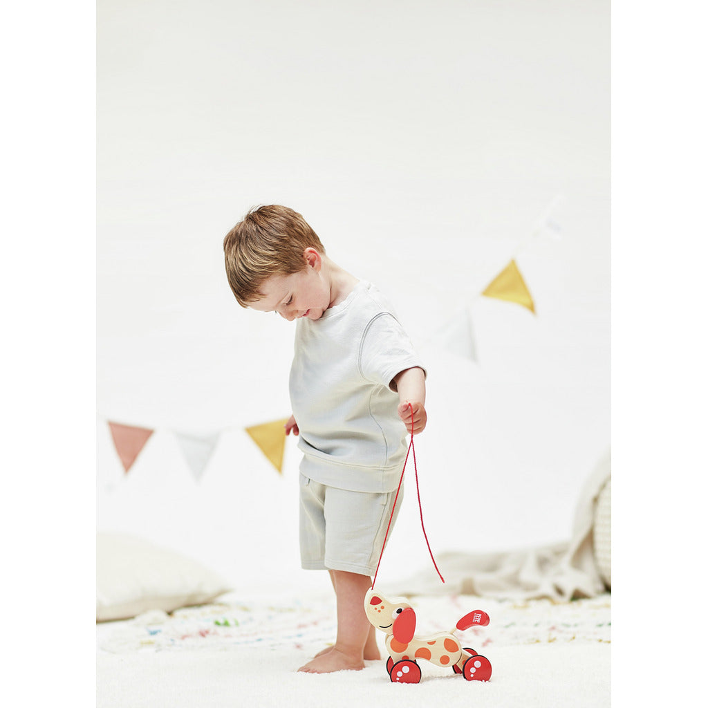 Hape 小狗拖拉車丨 發展技能丨 大肌肉動作丨 1-2 歲 \\BEST SELLER//